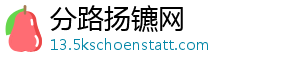 分路扬镳网